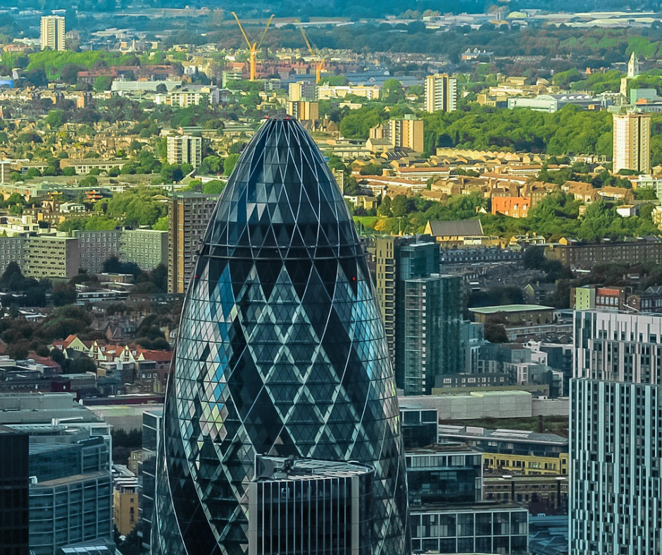 תכניות ייעור