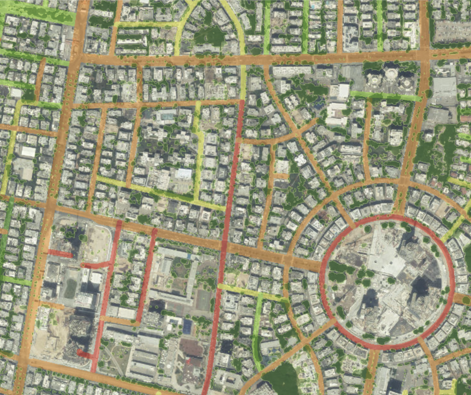 מיפוי צמרות עצים