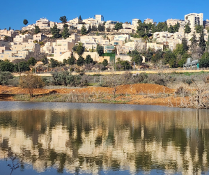 טבע עירוני